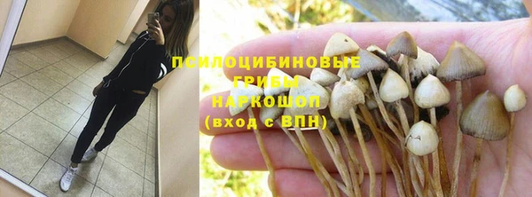 дживик Арсеньев