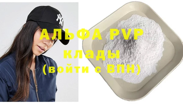 дживик Арсеньев