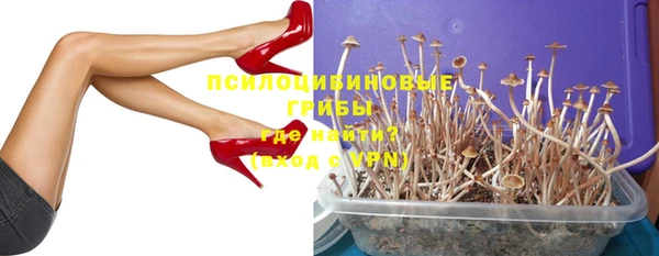 дмт Армянск