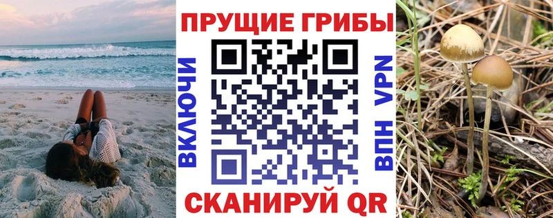 Галлюциногенные грибы Cubensis  цены   MEGA   Светлоград 